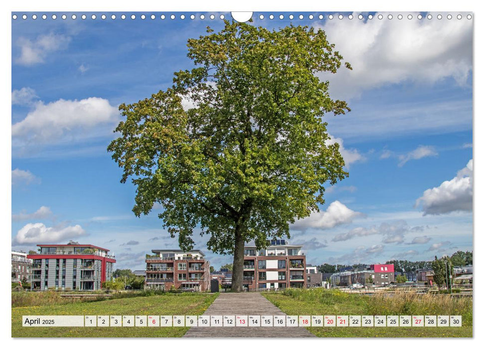 Emsauenpark Lingen (CALVENDO Wandkalender 2025)