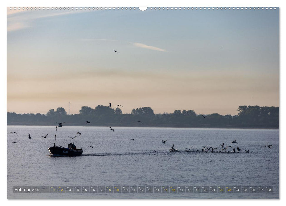 Maritime Impressionen Warnemünde (CALVENDO Premium Wandkalender 2025)