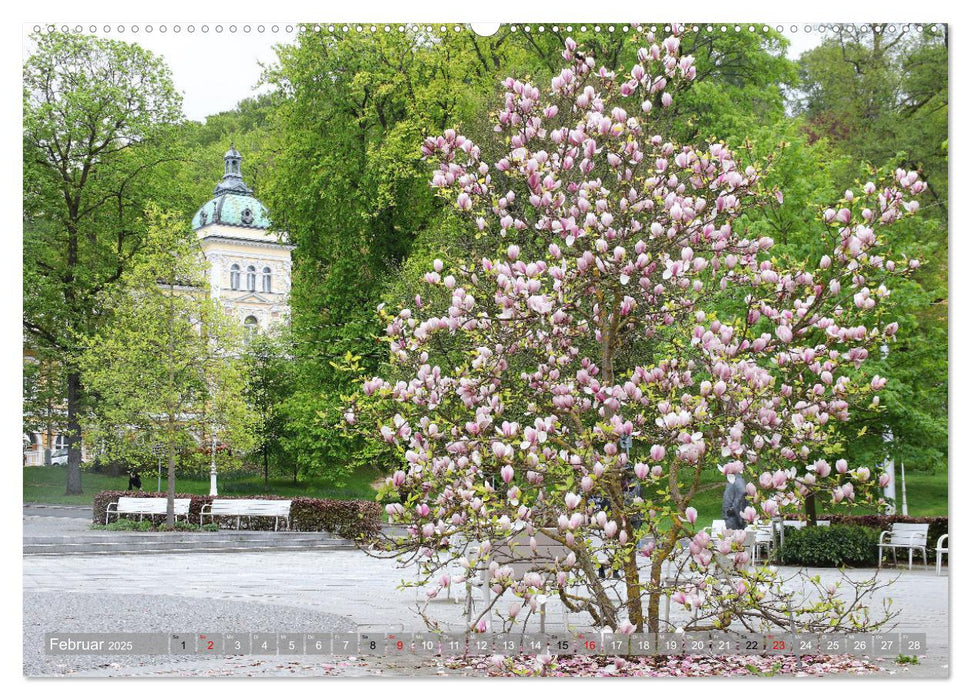 Marienbad in Tschechien (CALVENDO Premium Wandkalender 2025)