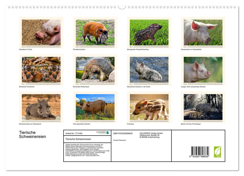 Tierische Schweinereien (CALVENDO Premium Wandkalender 2025)