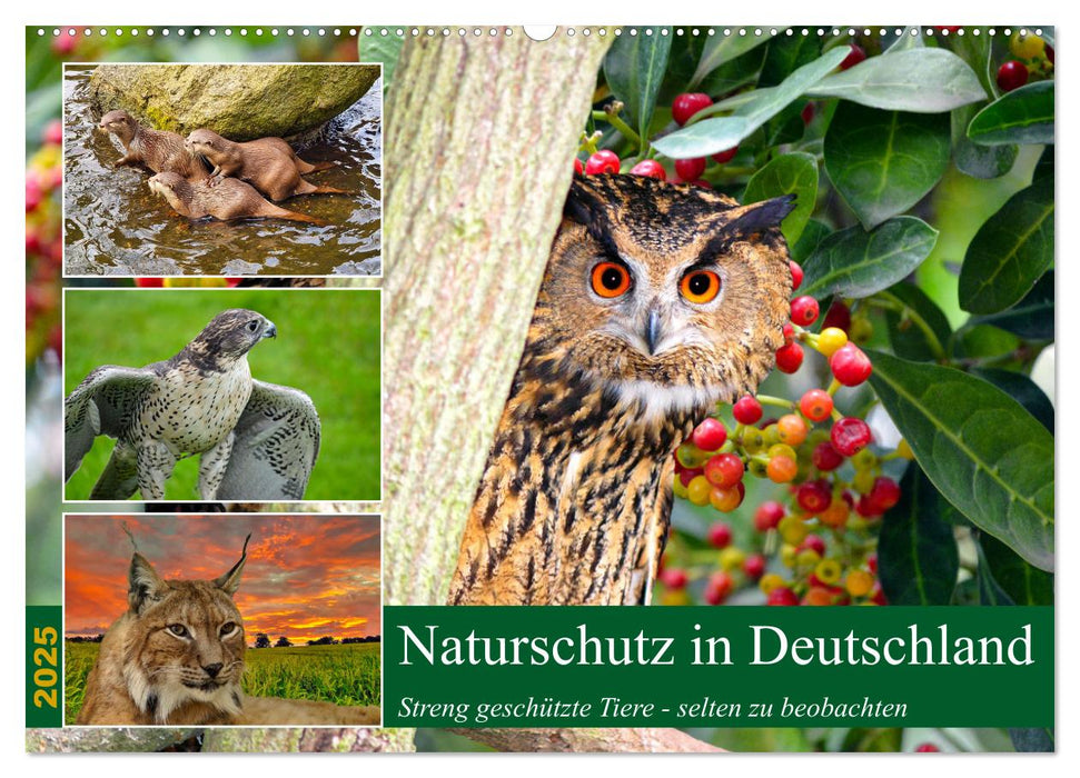 Naturschutz in Deutschland (CALVENDO Wandkalender 2025)