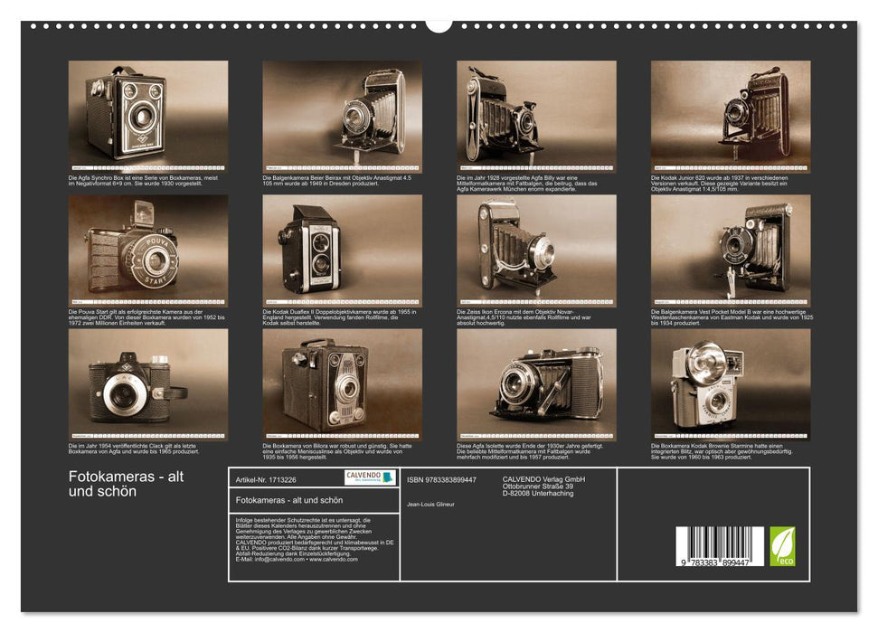 Fotokameras - alt und schön (CALVENDO Premium Wandkalender 2025)