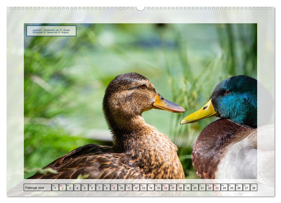 Deutsches Jagdwild - Waidmannsheil (CALVENDO Wandkalender 2025)