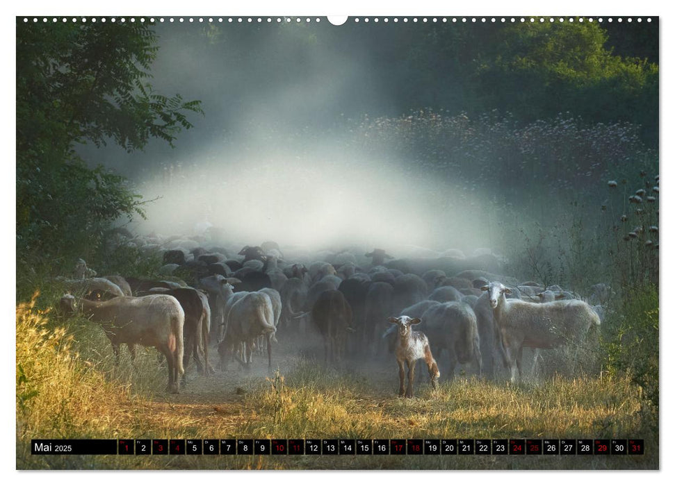 Orte zum Träumen (CALVENDO Premium Wandkalender 2025)