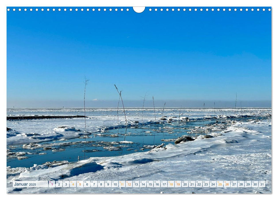 Die Nordsee - Im Wandel der Jahreszeiten (CALVENDO Wandkalender 2025)