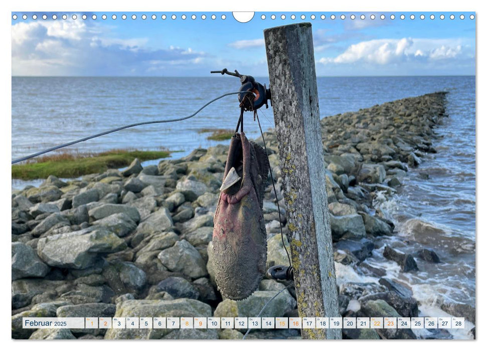 Die Nordsee - Im Wandel der Jahreszeiten (CALVENDO Wandkalender 2025)