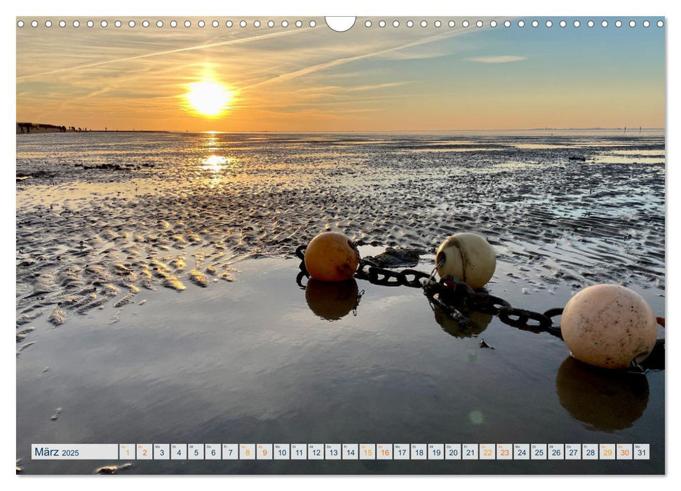 Die Nordsee - Im Wandel der Jahreszeiten (CALVENDO Wandkalender 2025)