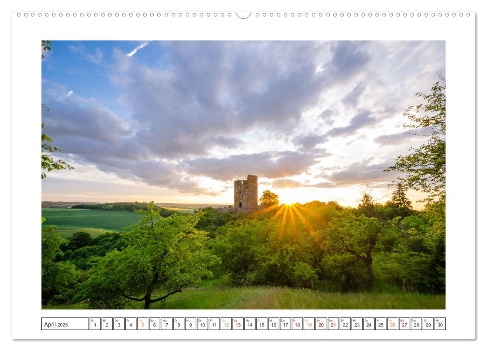 Burgen und Schlösser (CALVENDO Wandkalender 2025)