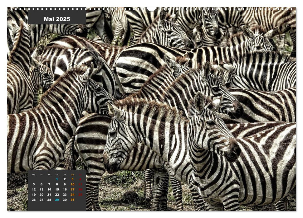 Safari njema - Safari Impressionen Kenia (CALVENDO Wandkalender 2025)