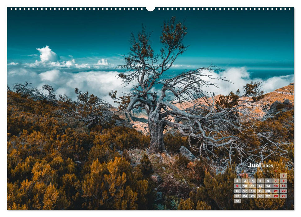 Trauminsel Madeira (CALVENDO Wandkalender 2025)