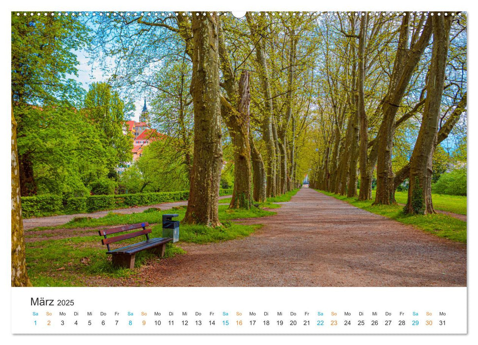 Tübingen - Die schwäbische Universitätsstadt (CALVENDO Wandkalender 2025)