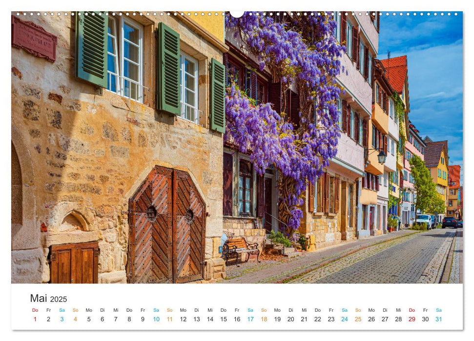 Tübingen - Die schwäbische Universitätsstadt (CALVENDO Wandkalender 2025)