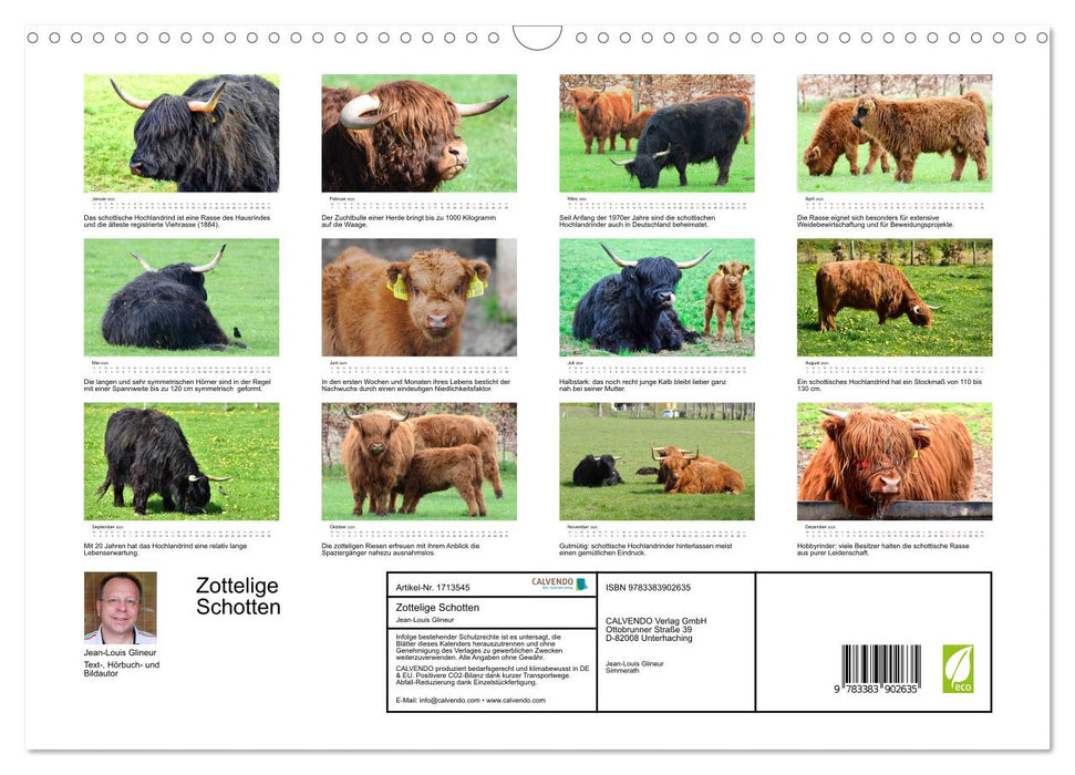 Zottelige Schotten (CALVENDO Wandkalender 2025)