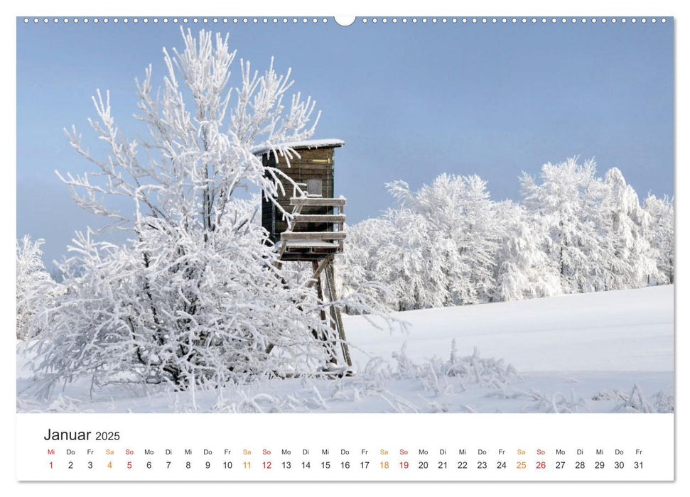 Wald macht glücklich (CALVENDO Premium Wandkalender 2025)