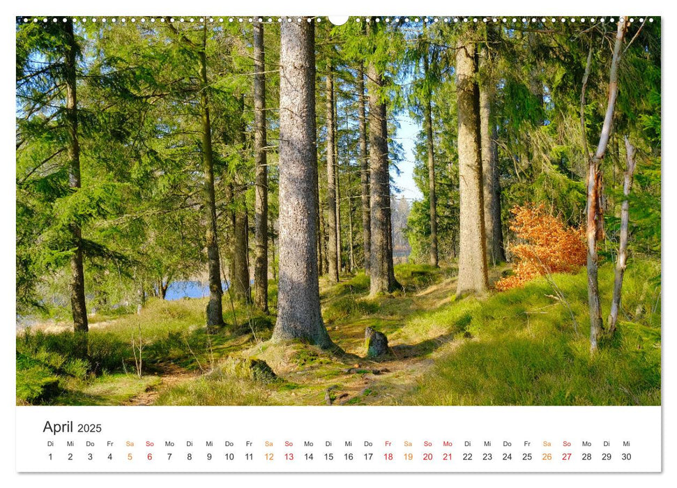 Wald macht glücklich (CALVENDO Premium Wandkalender 2025)