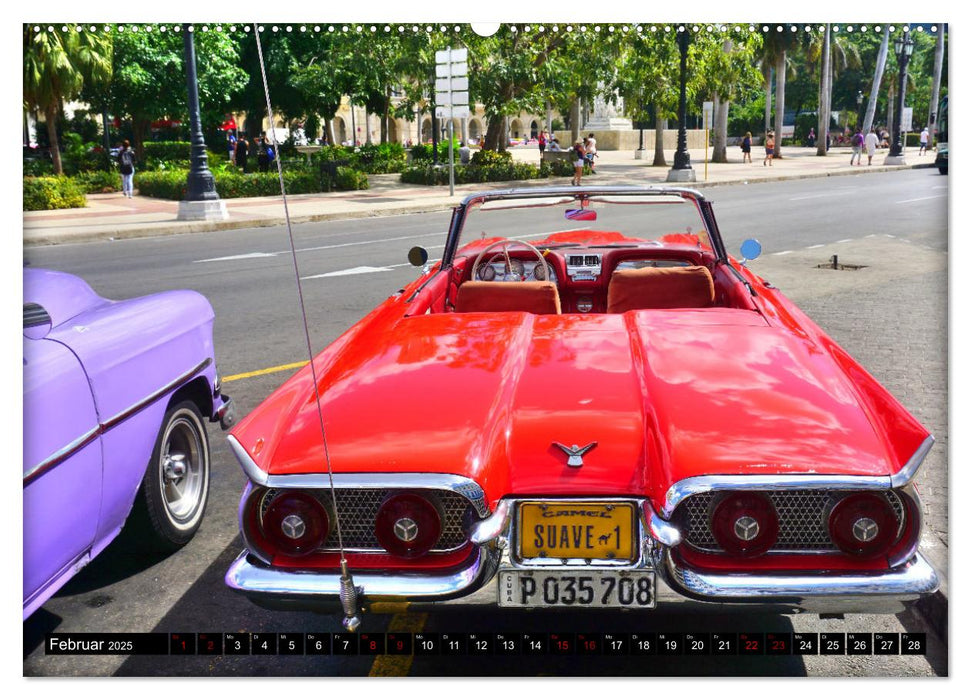 Best of Thunderbird - Ein Star unter Havannas Oldtimern (CALVENDO Wandkalender 2025)