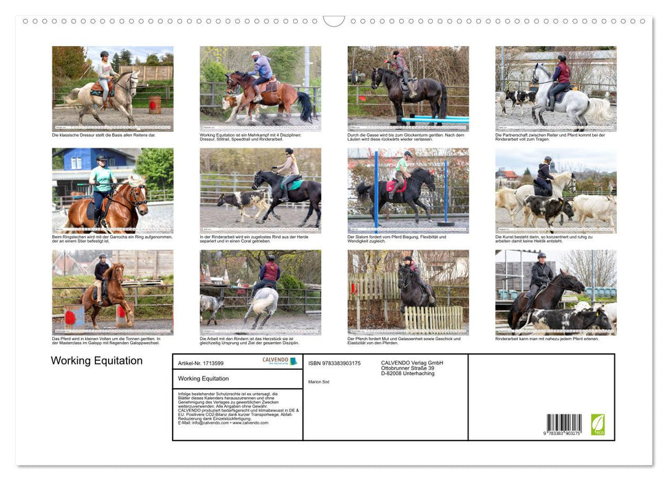 Working Equitation (CALVENDO Wandkalender 2025)