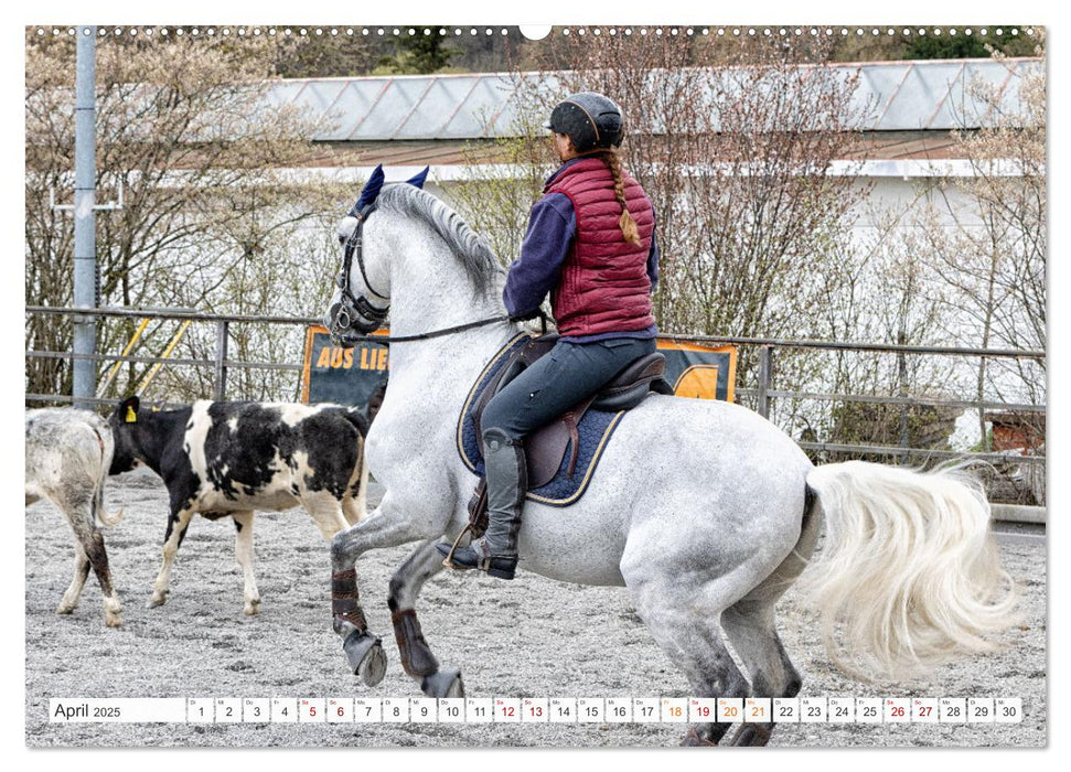 Working Equitation (CALVENDO Wandkalender 2025)