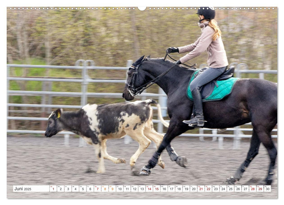 Working Equitation (CALVENDO Wandkalender 2025)