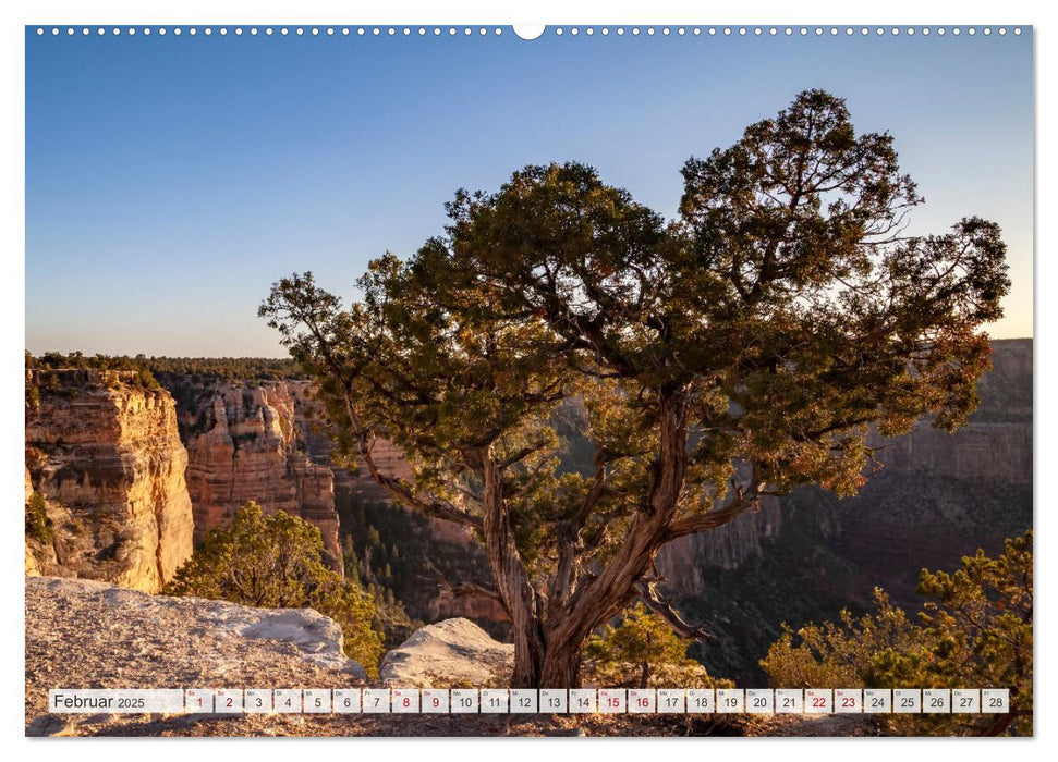 GRAND CANYON Mächtige Schlucht (CALVENDO Premium Wandkalender 2025)