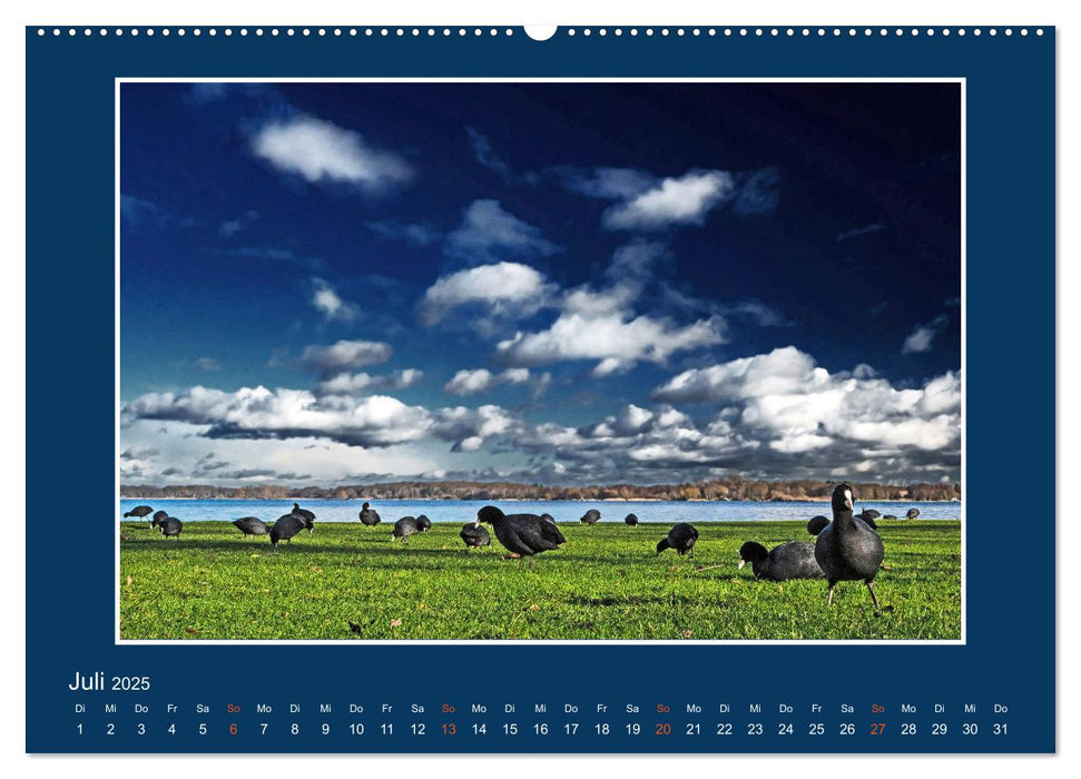 Ins Blaue.Variationen einer besonderen Farbe in norddeutscher Landschaft. (CALVENDO Premium Wandkalender 2025)