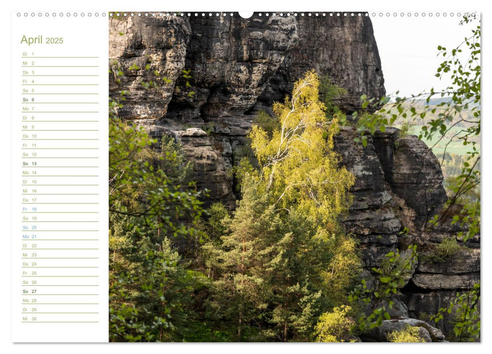 Affensteine Perspektiven - Elbsandstein (CALVENDO Premium Wandkalender 2025)