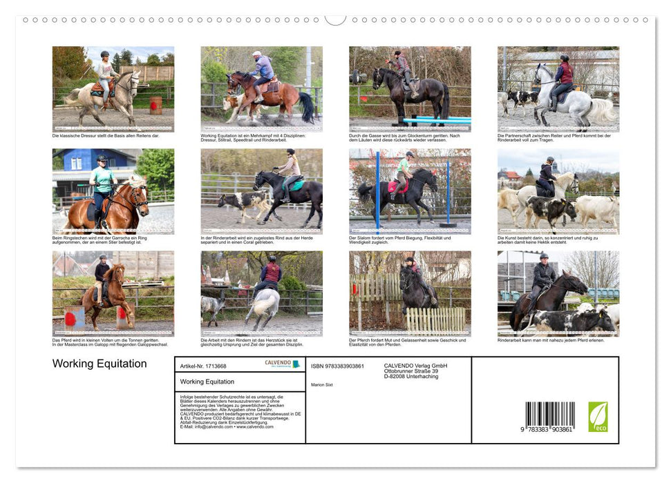 Working Equitation (CALVENDO Premium Wandkalender 2025)