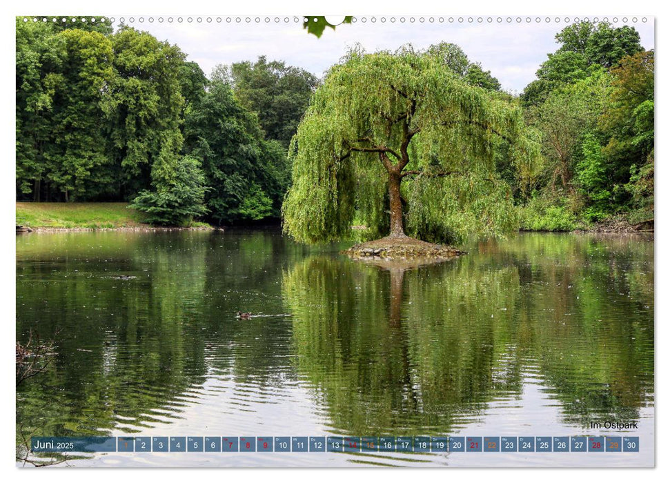 Düsseldorfer Parklandschaften (CALVENDO Wandkalender 2025)