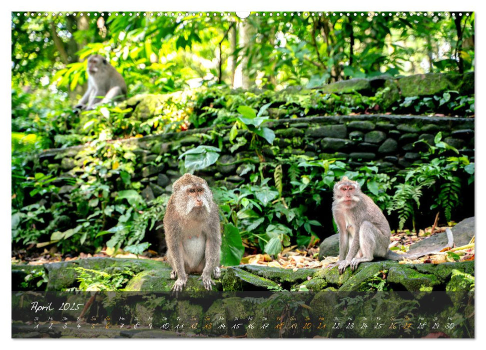 Bali Dreams - Inselzauber in Indonesien (CALVENDO Wandkalender 2025)