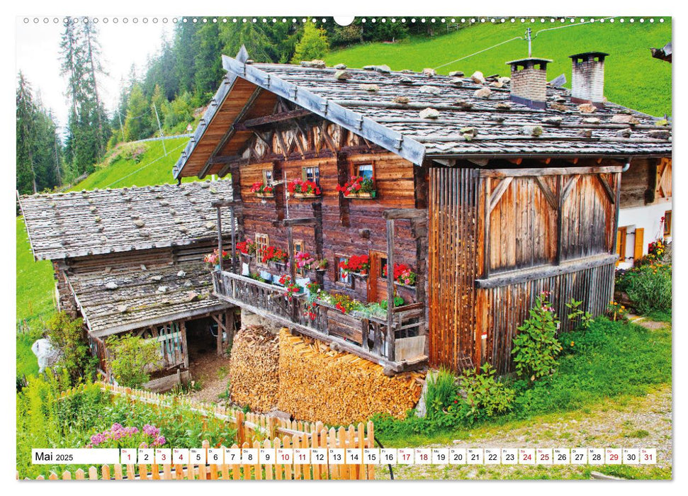 Alte Zeitzeugen (CALVENDO Premium Wandkalender 2025)