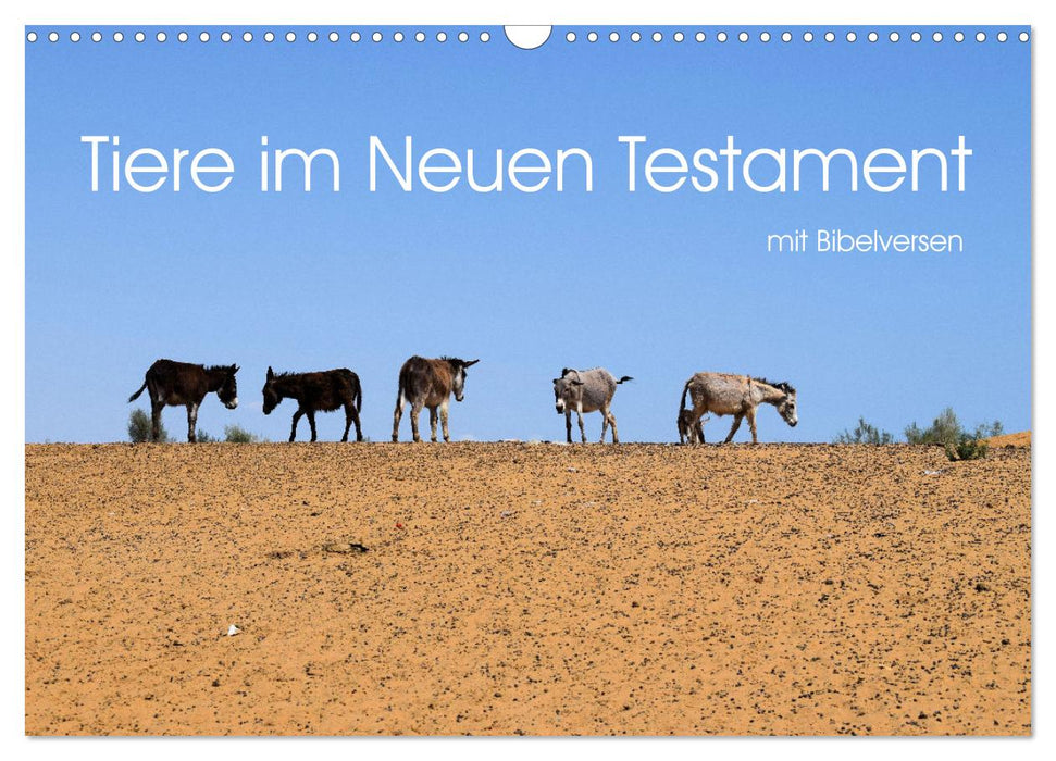 Tiere im Neuen Testament mit Bibelversen (CALVENDO Wandkalender 2025)