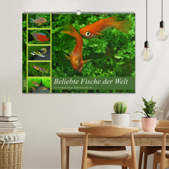 Beliebte Fische der Welt (CALVENDO Wandkalender 2025)