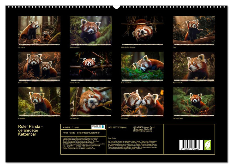 Roter Panda - gefährdeter Katzenbär (CALVENDO Premium Wandkalender 2025)