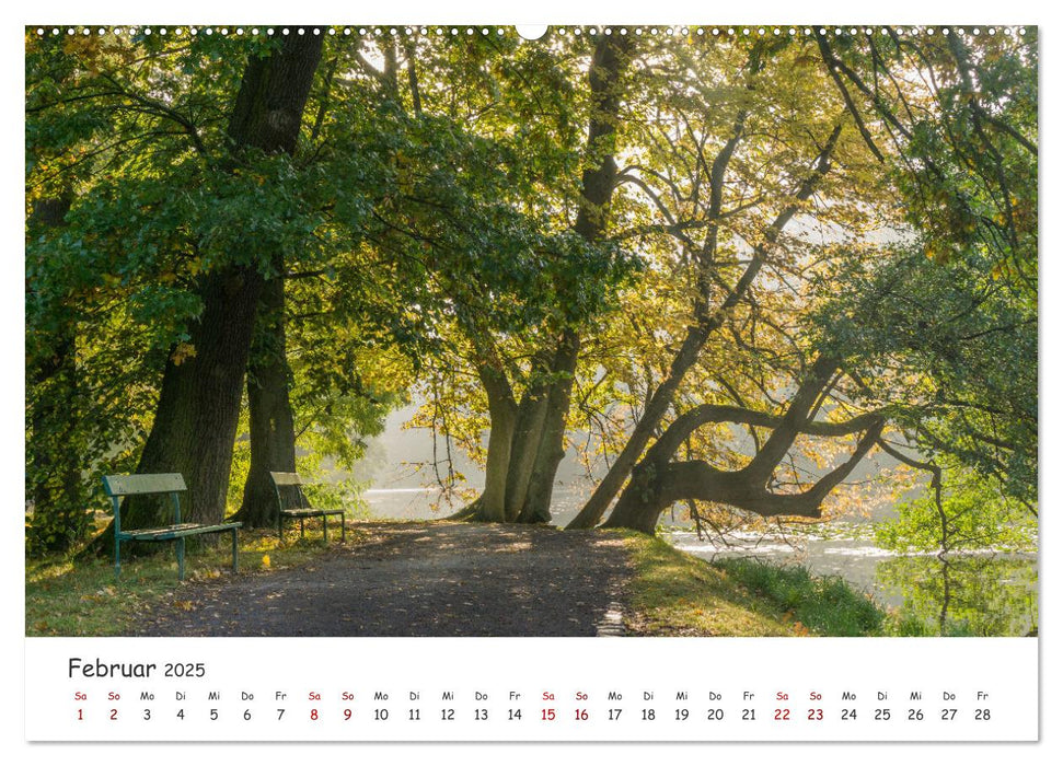 Kassel - Natur pur (CALVENDO Wandkalender 2025)