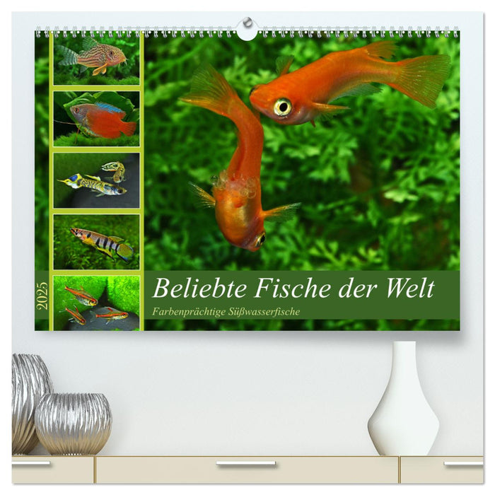 Beliebte Fische der Welt (CALVENDO Premium Wandkalender 2025)