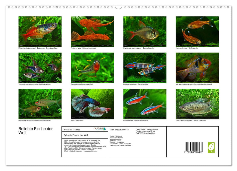 Beliebte Fische der Welt (CALVENDO Premium Wandkalender 2025)