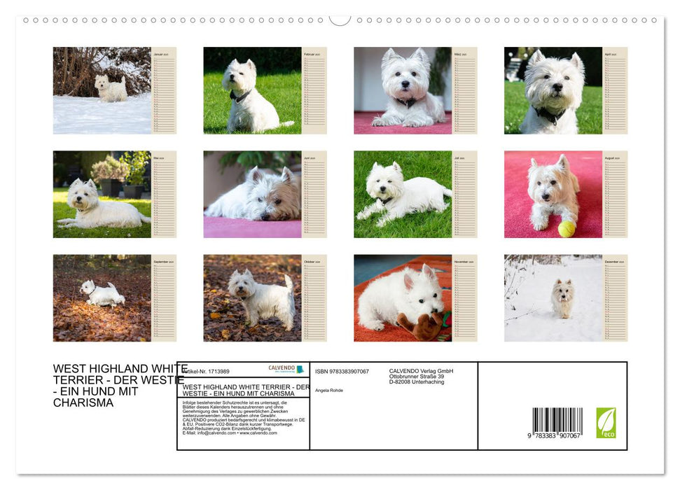 WEST HIGHLAND WHITE TERRIER - DER WESTIE - EIN HUND MIT CHARISMA (CALVENDO Premium Wandkalender 2025)