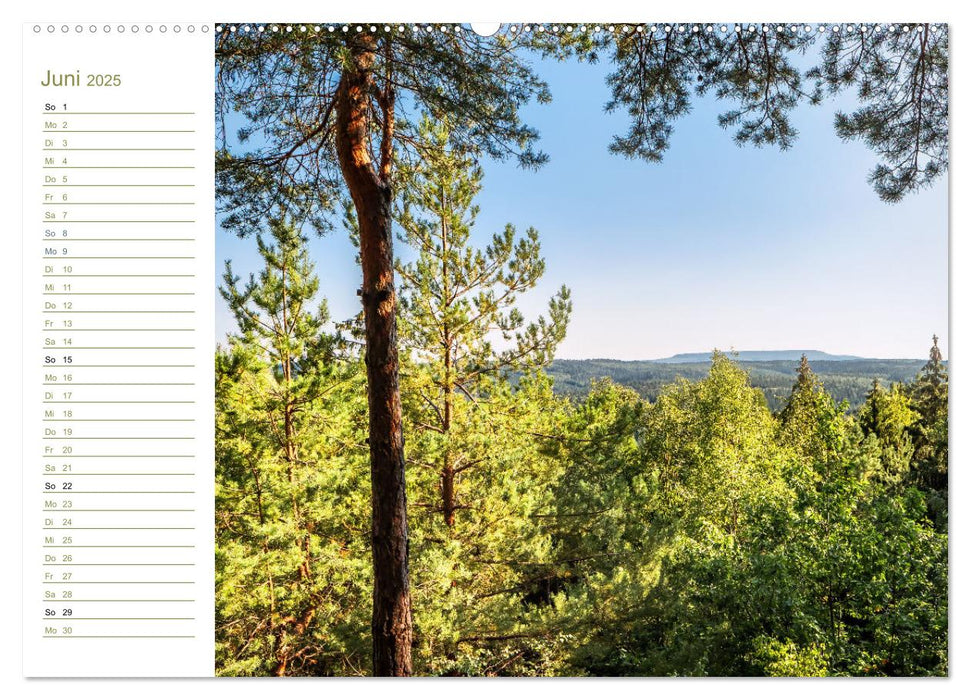 Schneeberg Perspektiven - Elbsandstein (CALVENDO Wandkalender 2025)