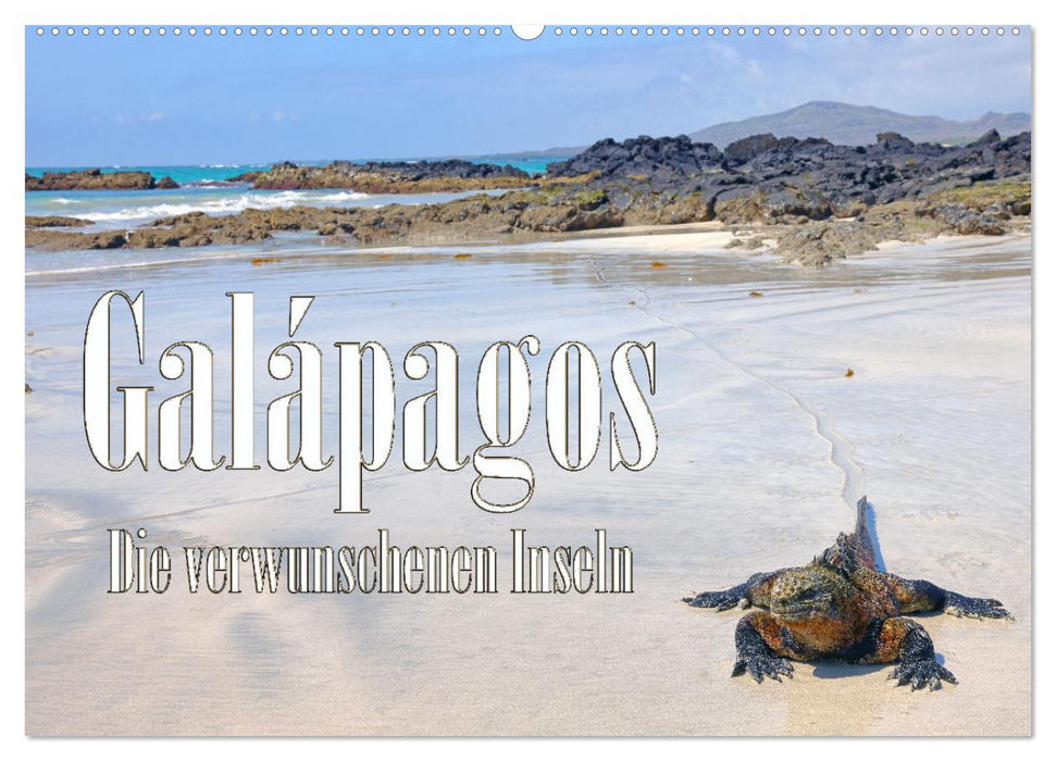 Galápagos - Die verwunschenen Inseln (CALVENDO Wandkalender 2025)