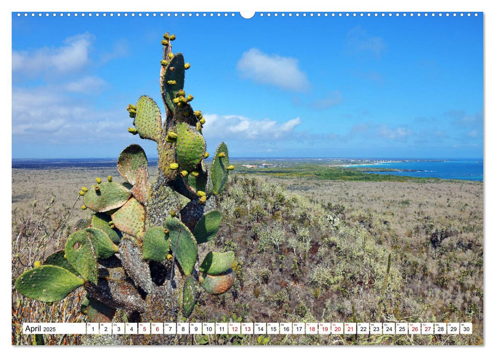 Galápagos - Die verwunschenen Inseln (CALVENDO Wandkalender 2025)