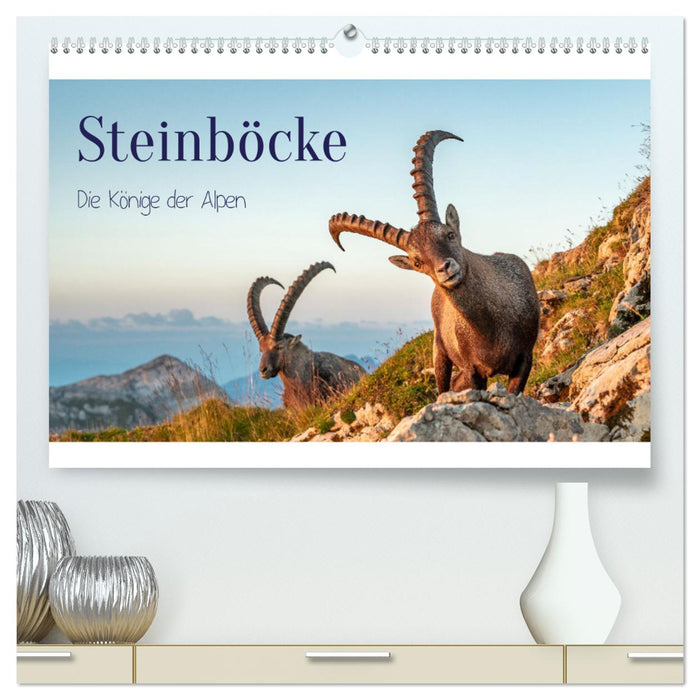 Steinböcke - Die Könige der Alpen (CALVENDO Premium Wandkalender 2025)