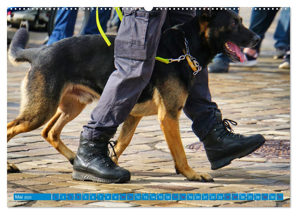 Aktionstag der Polizei (CALVENDO Wandkalender 2025)