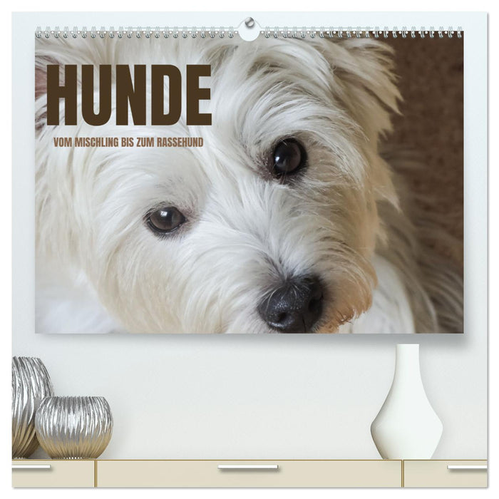 Hunde - vom Mischling bis zum Rassehund (CALVENDO Premium Wandkalender 2025)