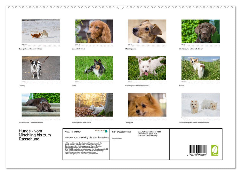 Hunde - vom Mischling bis zum Rassehund (CALVENDO Premium Wandkalender 2025)