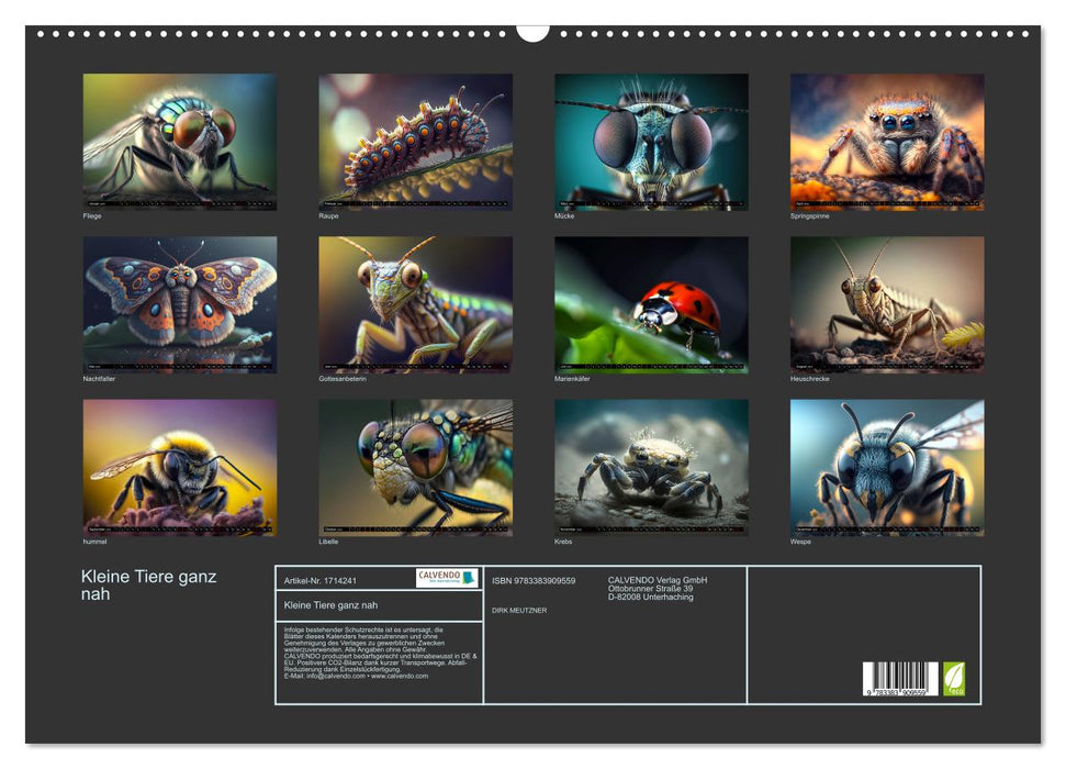Kleine Tiere ganz nah (CALVENDO Wandkalender 2025)
