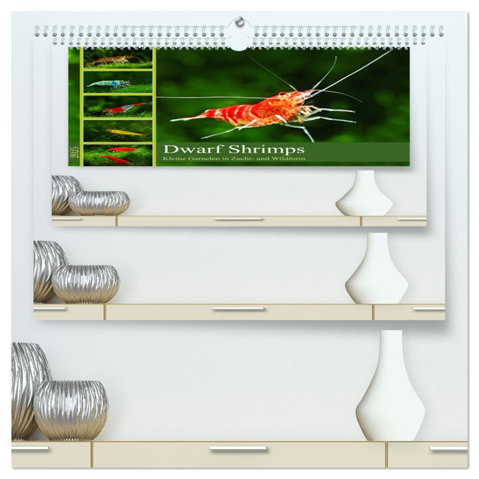 Dwarf Shrimps (CALVENDO Premium Wandkalender 2025)