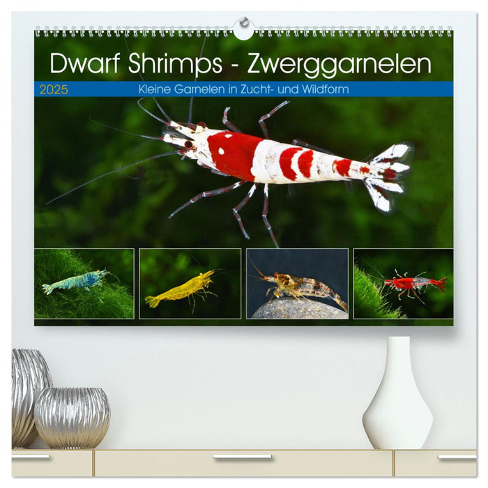 Dwarf Shrimps - Zwerggarnelen (CALVENDO Premium Wandkalender 2025)