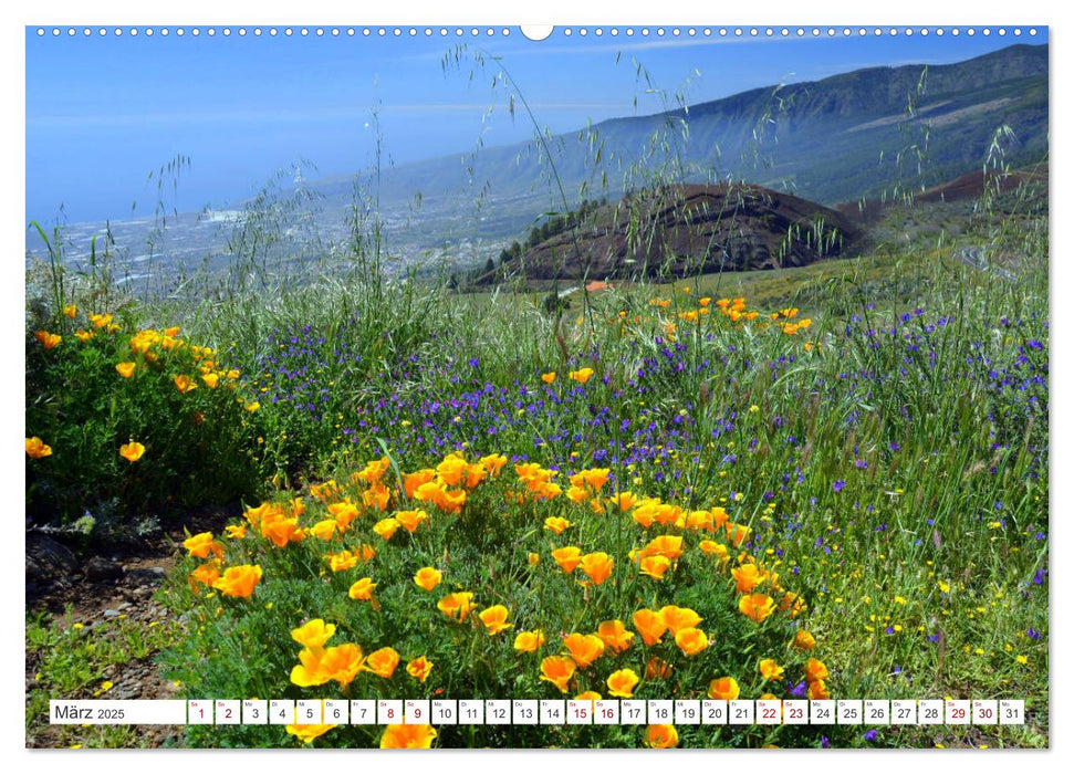 Teneriffa Insel der Glückseligen (CALVENDO Wandkalender 2025)