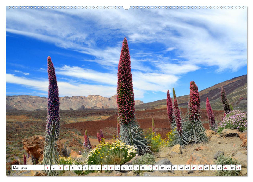 Teneriffa Insel der Glückseligen (CALVENDO Wandkalender 2025)