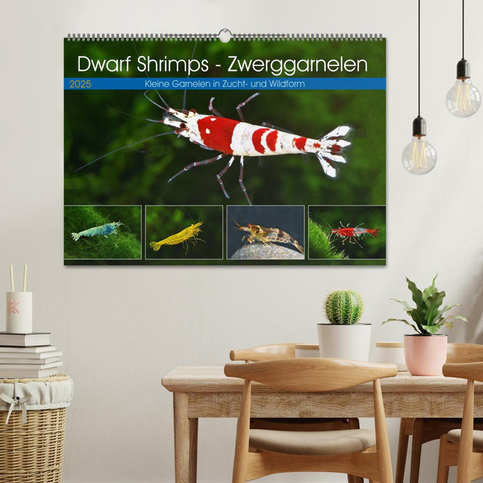 Dwarf Shrimps - Zwerggarnelen (CALVENDO Wandkalender 2025)